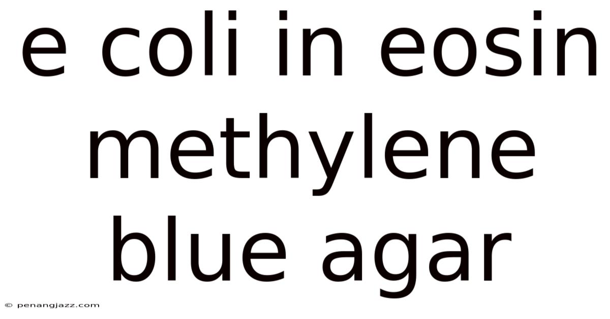 E Coli In Eosin Methylene Blue Agar