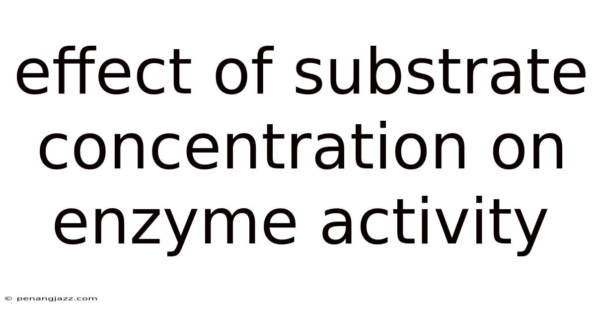 Effect Of Substrate Concentration On Enzyme Activity