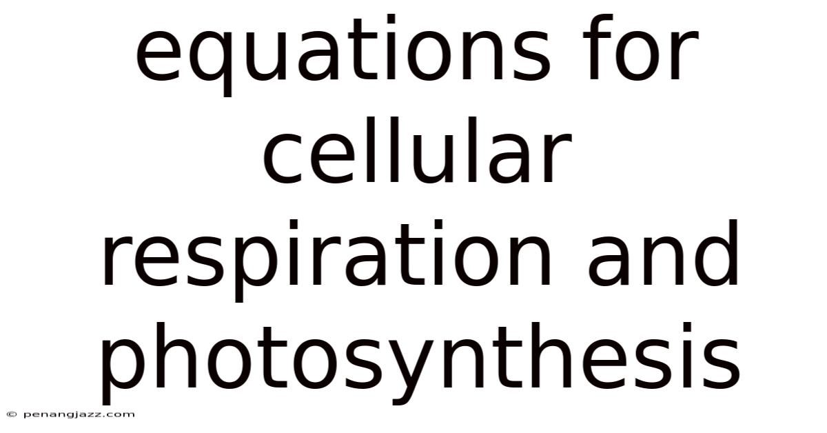 Equations For Cellular Respiration And Photosynthesis