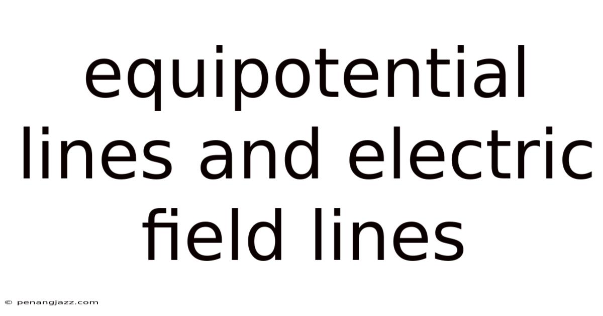 Equipotential Lines And Electric Field Lines