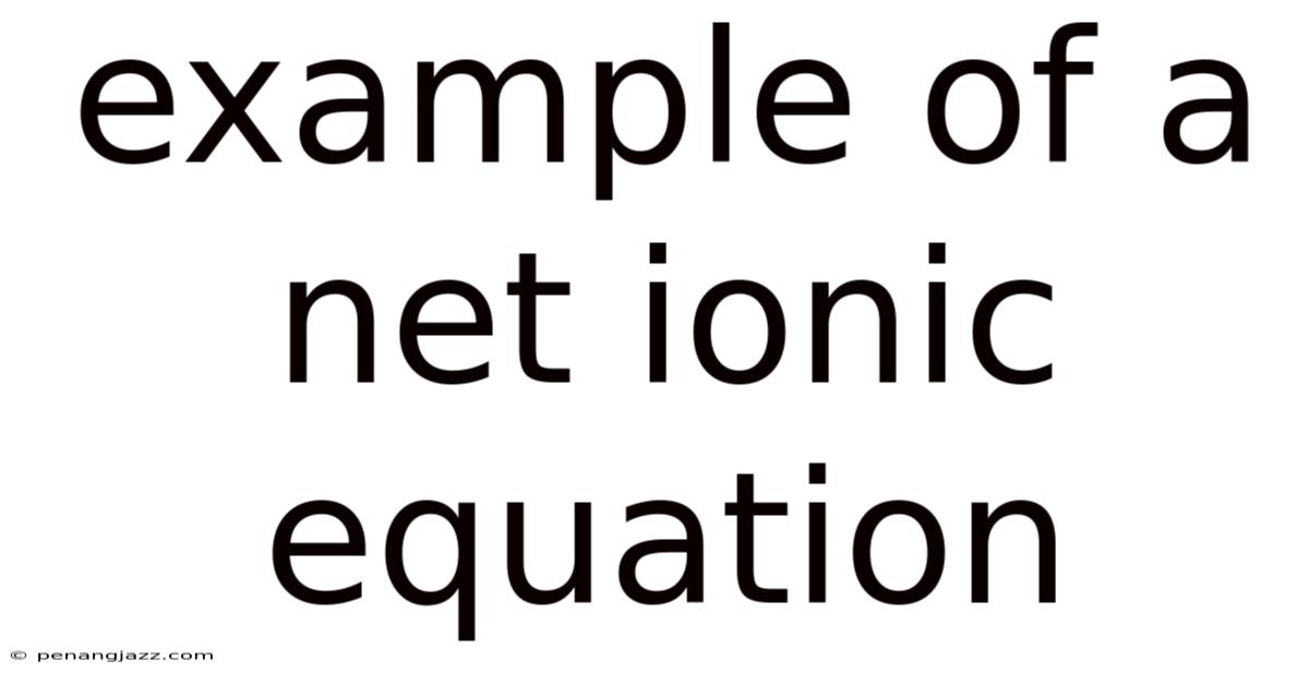 Example Of A Net Ionic Equation