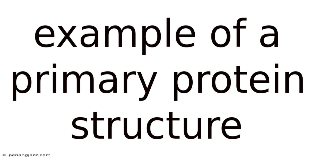 Example Of A Primary Protein Structure