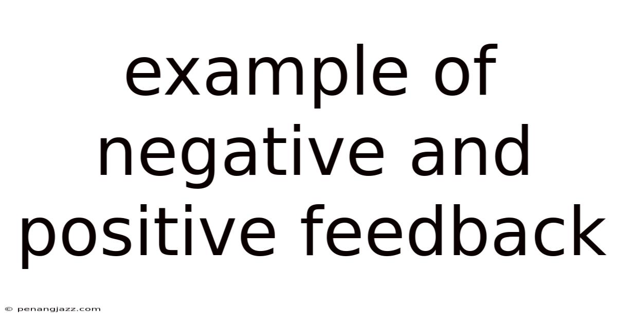 Example Of Negative And Positive Feedback