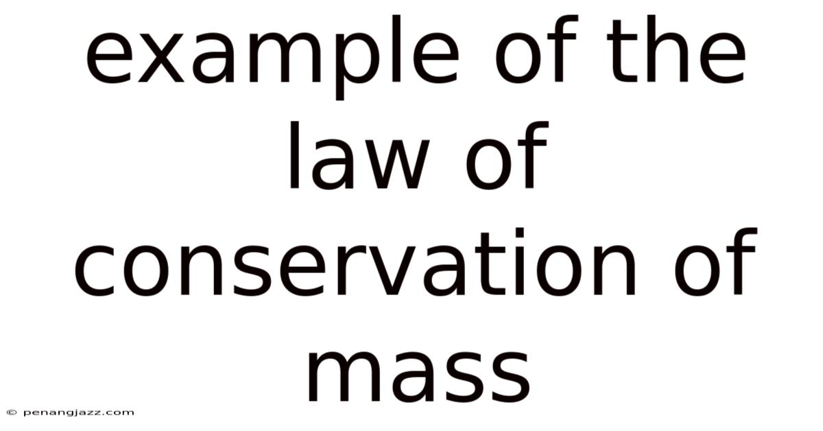 Example Of The Law Of Conservation Of Mass