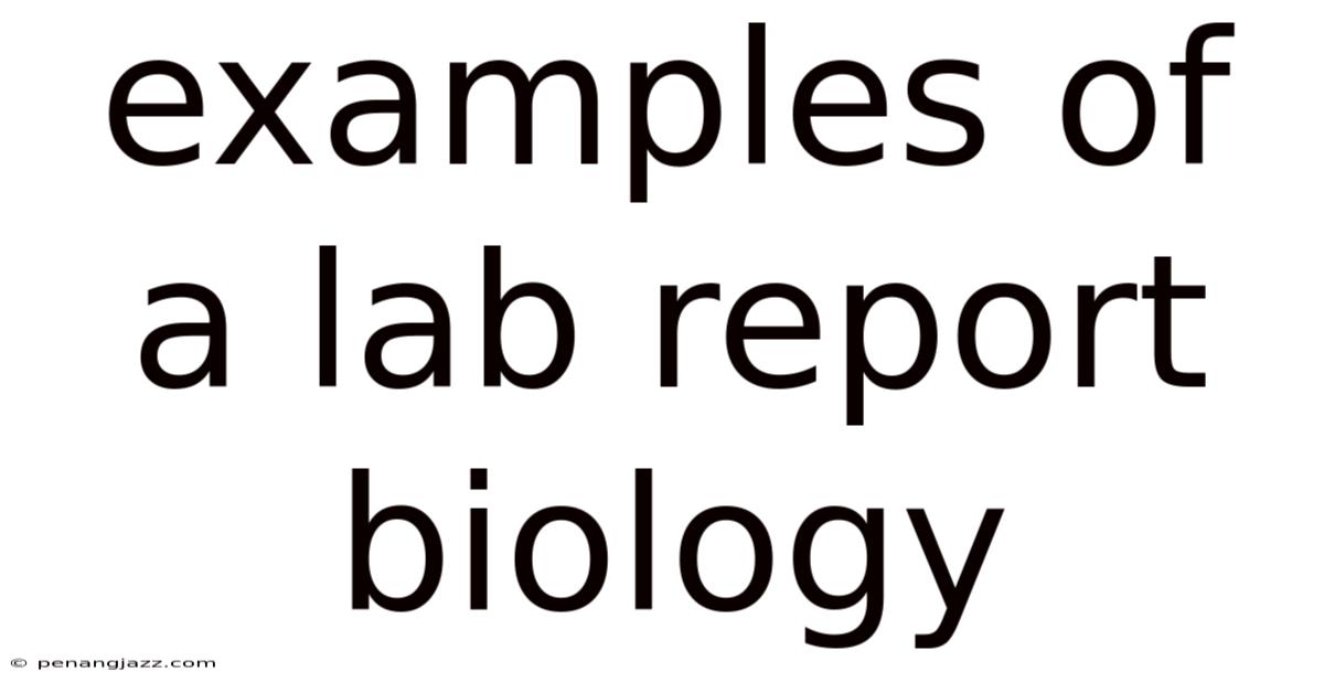 Examples Of A Lab Report Biology