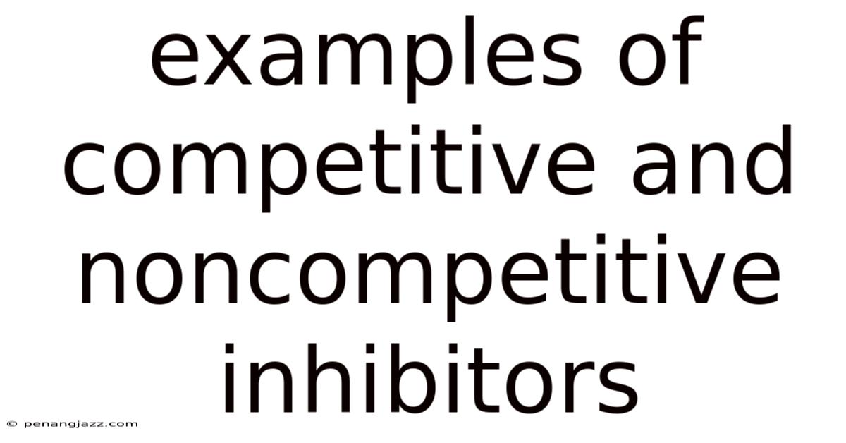 Examples Of Competitive And Noncompetitive Inhibitors