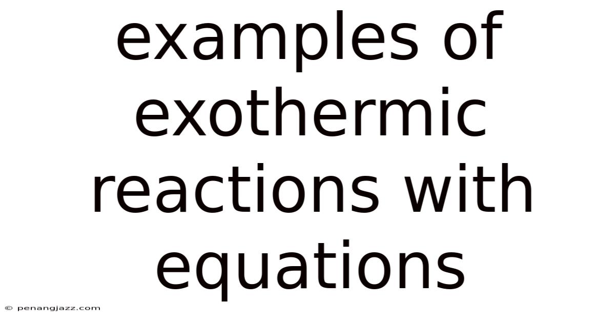 Examples Of Exothermic Reactions With Equations