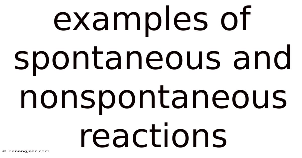 Examples Of Spontaneous And Nonspontaneous Reactions