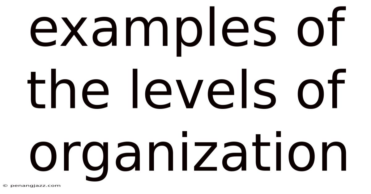 Examples Of The Levels Of Organization