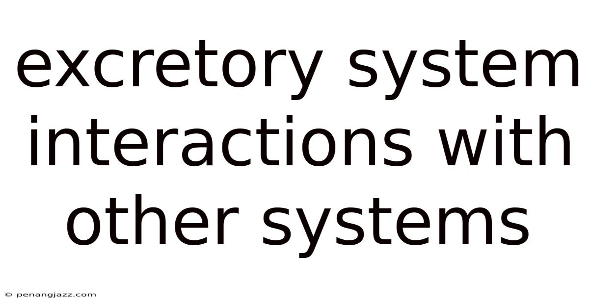 Excretory System Interactions With Other Systems