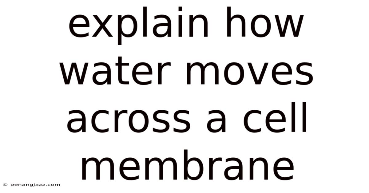 Explain How Water Moves Across A Cell Membrane
