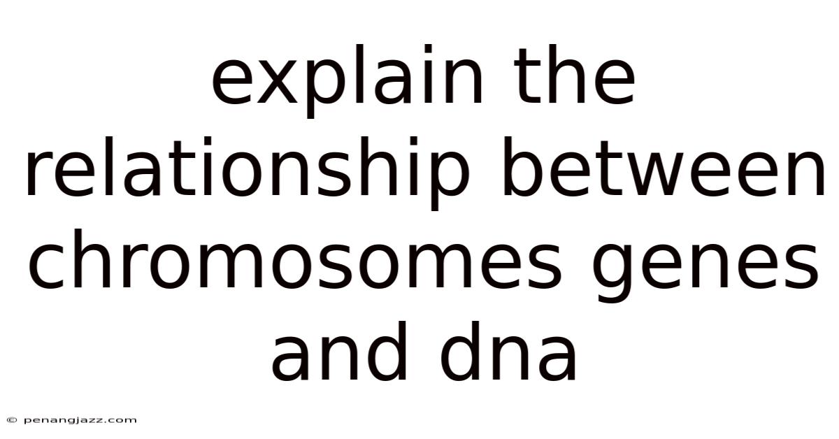 Explain The Relationship Between Chromosomes Genes And Dna
