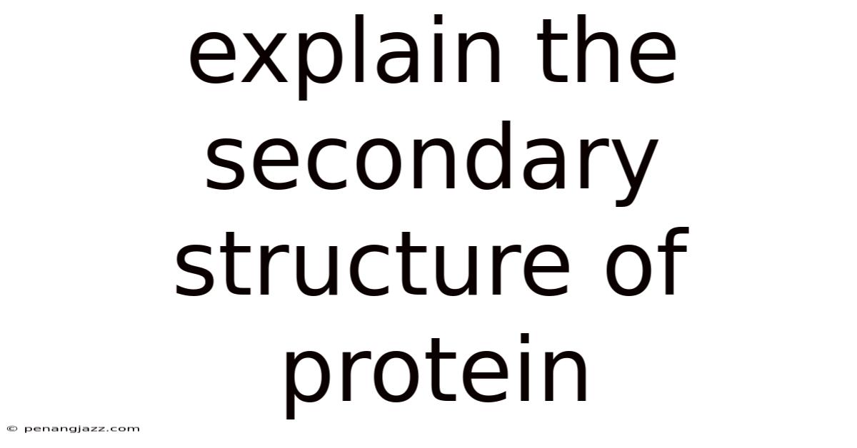 Explain The Secondary Structure Of Protein