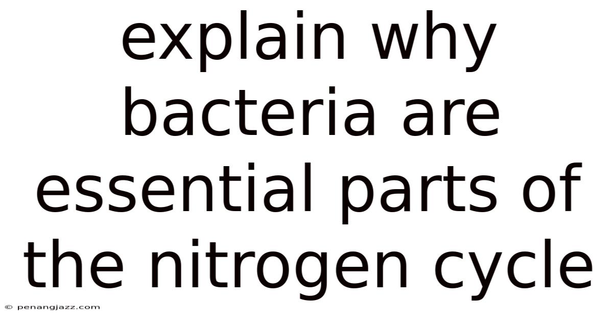 Explain Why Bacteria Are Essential Parts Of The Nitrogen Cycle