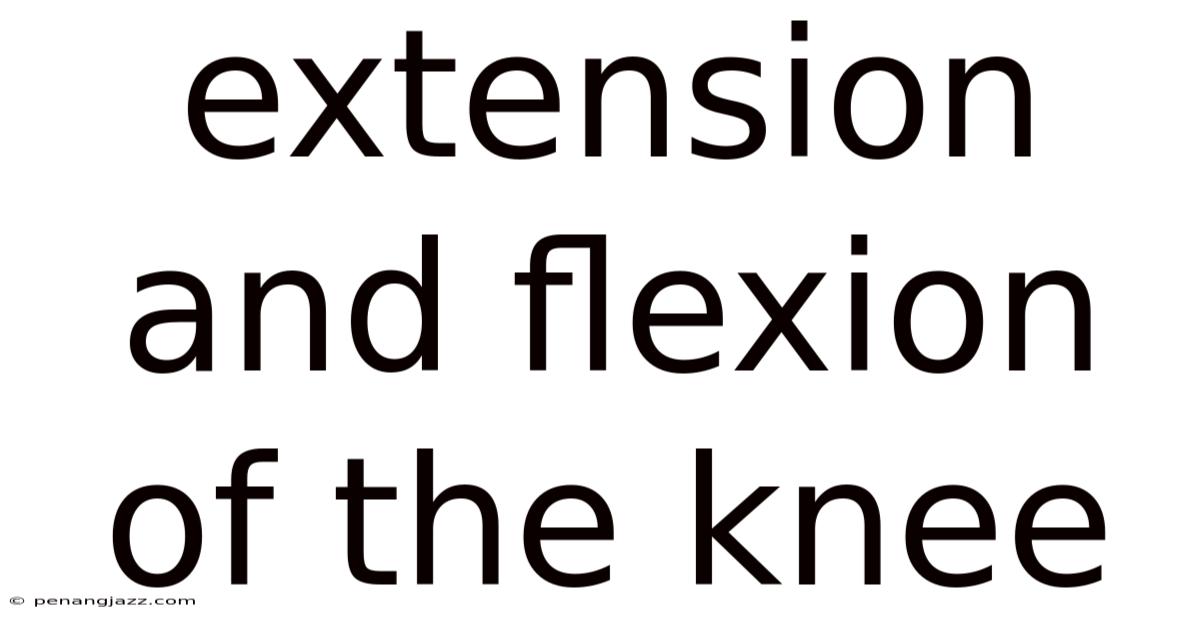 Extension And Flexion Of The Knee