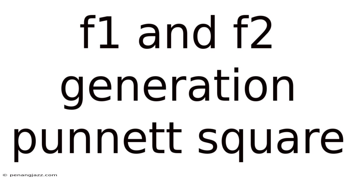 F1 And F2 Generation Punnett Square