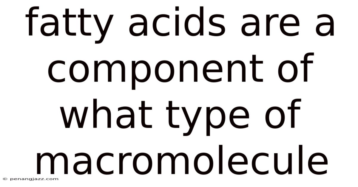 Fatty Acids Are A Component Of What Type Of Macromolecule