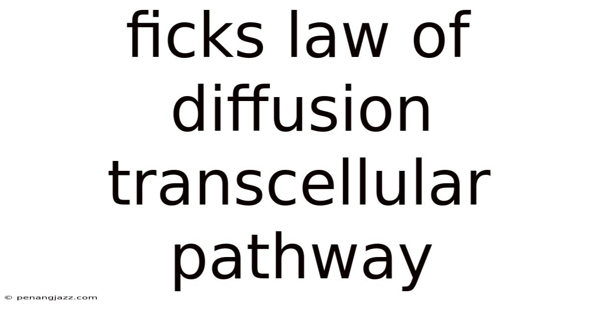 Ficks Law Of Diffusion Transcellular Pathway
