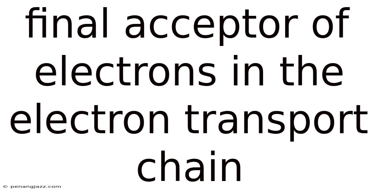 Final Acceptor Of Electrons In The Electron Transport Chain