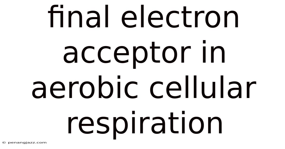 Final Electron Acceptor In Aerobic Cellular Respiration