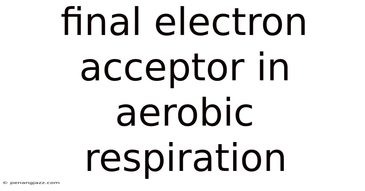 Final Electron Acceptor In Aerobic Respiration