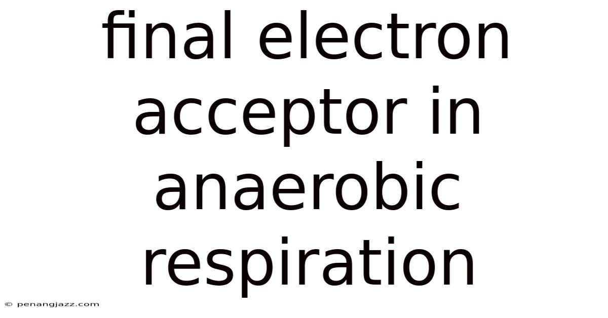 Final Electron Acceptor In Anaerobic Respiration