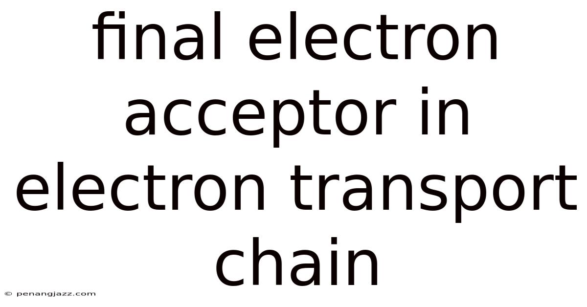 Final Electron Acceptor In Electron Transport Chain
