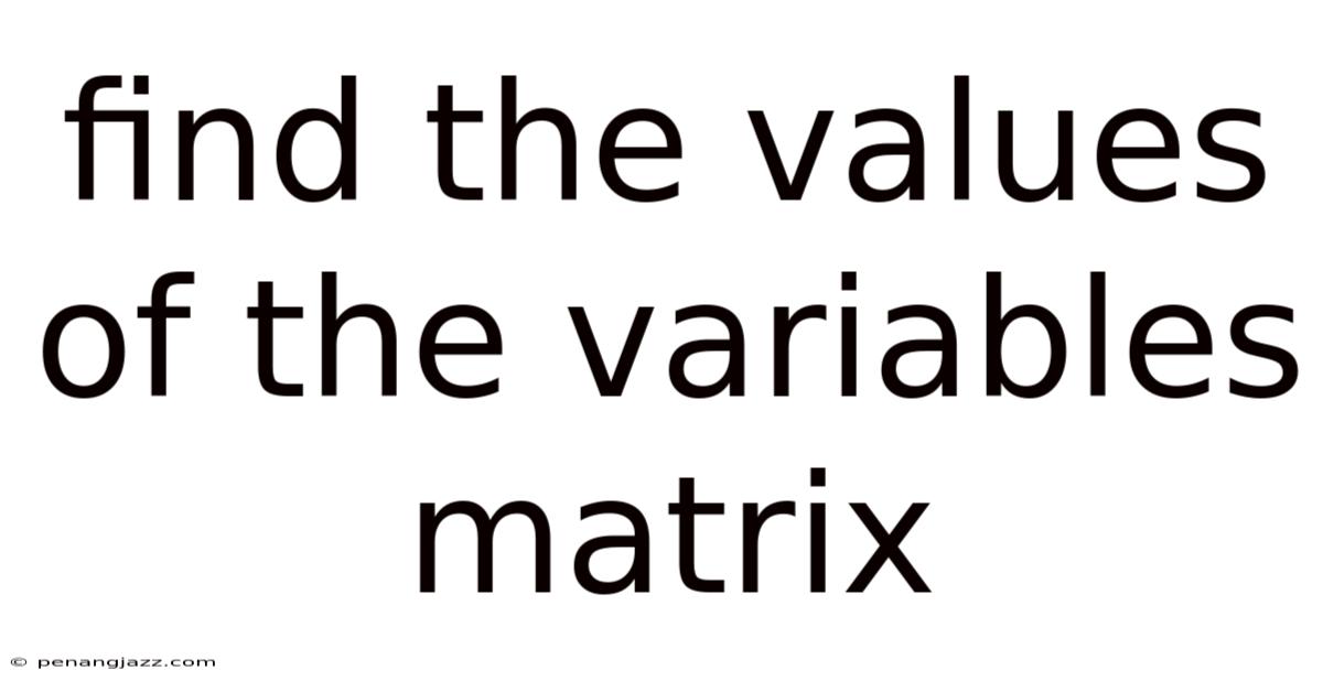 Find The Values Of The Variables Matrix