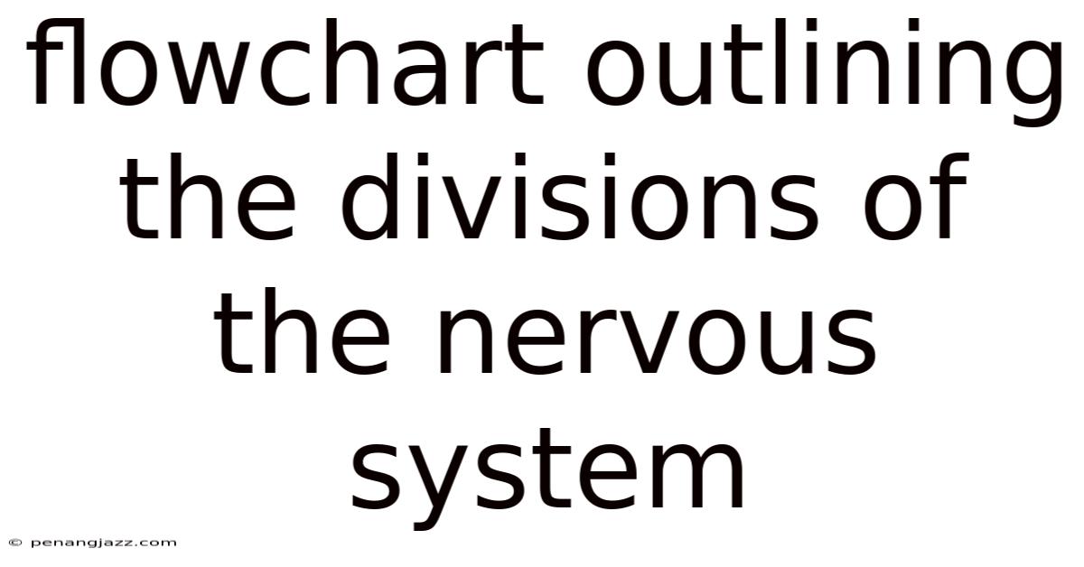 Flowchart Outlining The Divisions Of The Nervous System