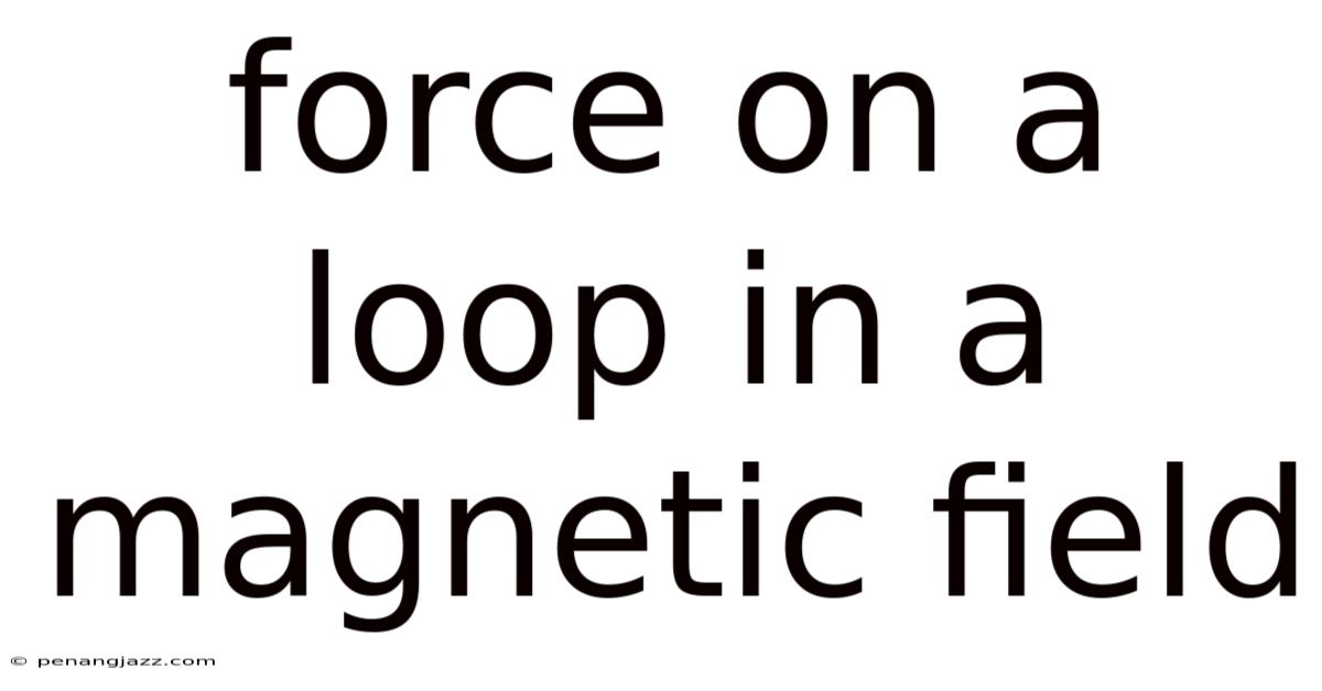 Force On A Loop In A Magnetic Field
