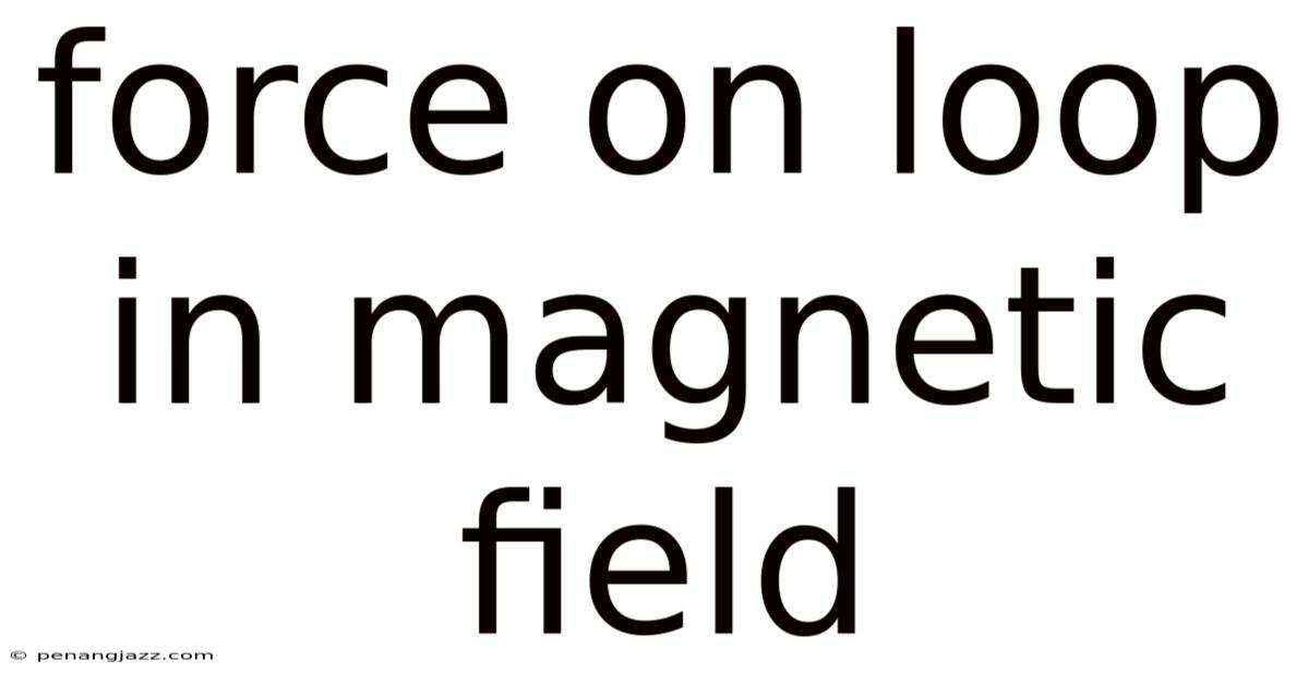 Force On Loop In Magnetic Field