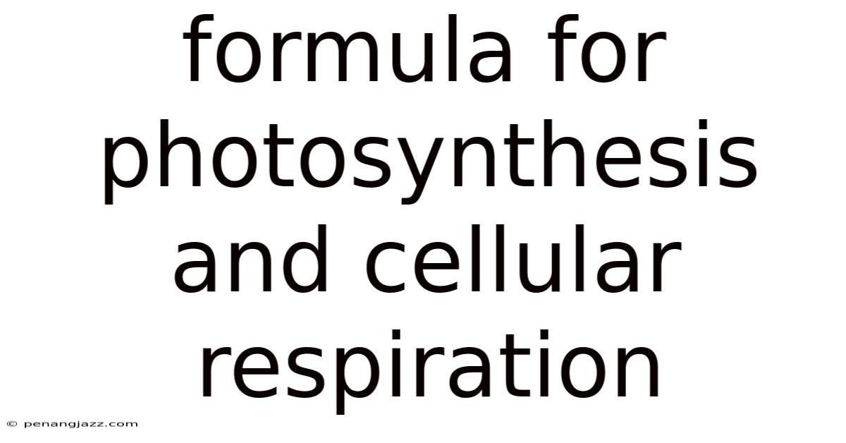 Formula For Photosynthesis And Cellular Respiration
