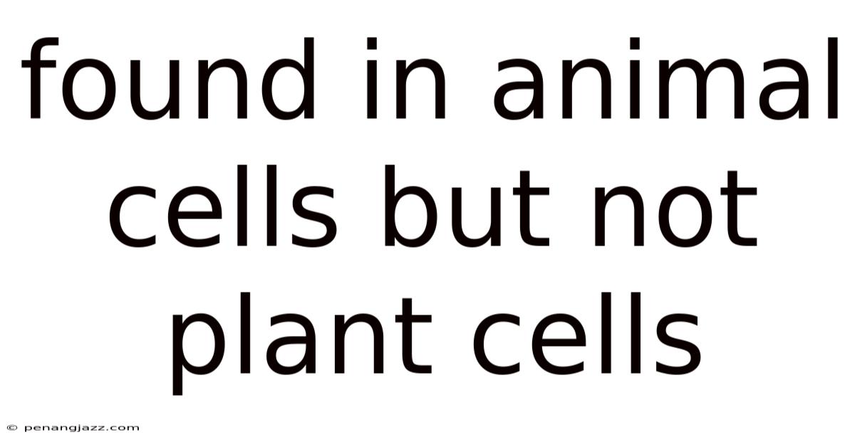 Found In Animal Cells But Not Plant Cells