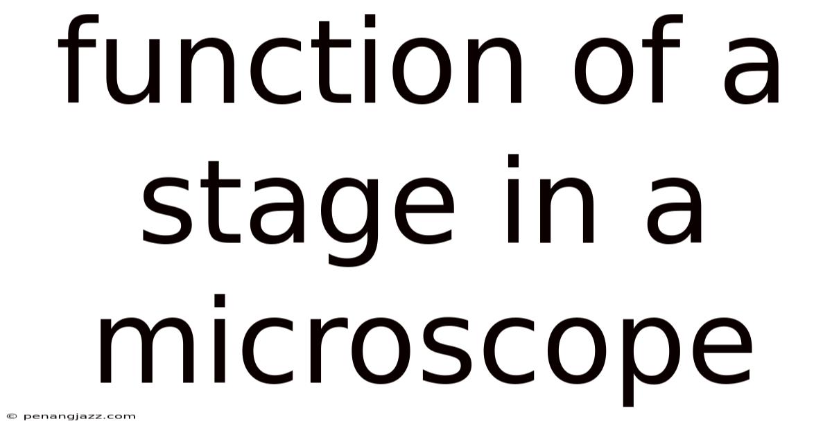 Function Of A Stage In A Microscope