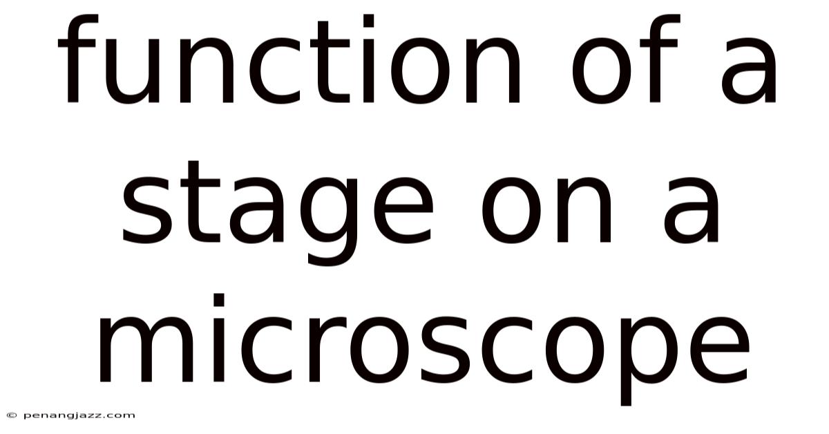 Function Of A Stage On A Microscope