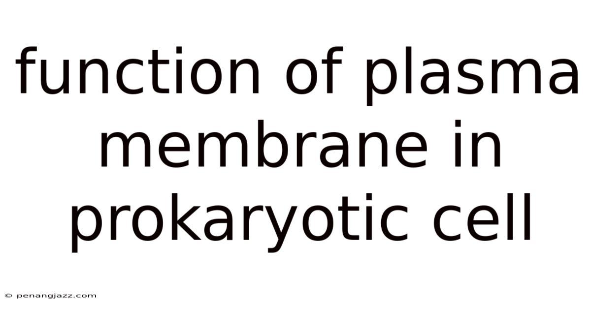 Function Of Plasma Membrane In Prokaryotic Cell