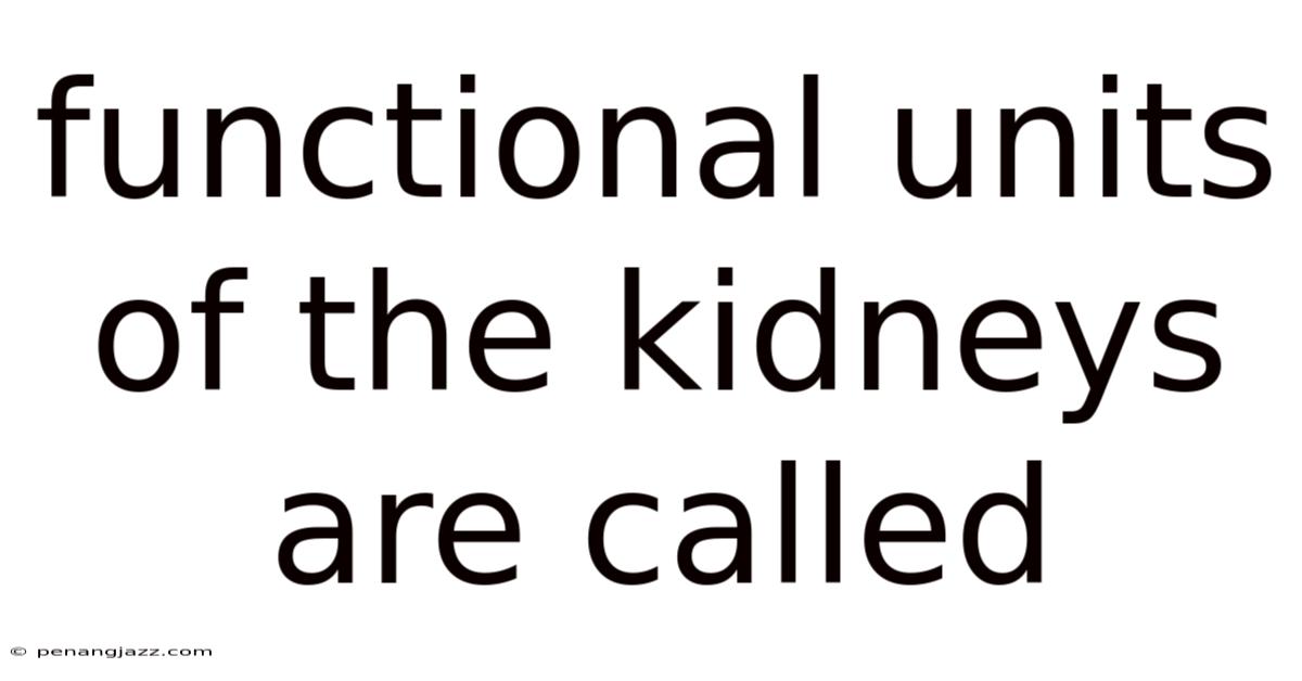 Functional Units Of The Kidneys Are Called
