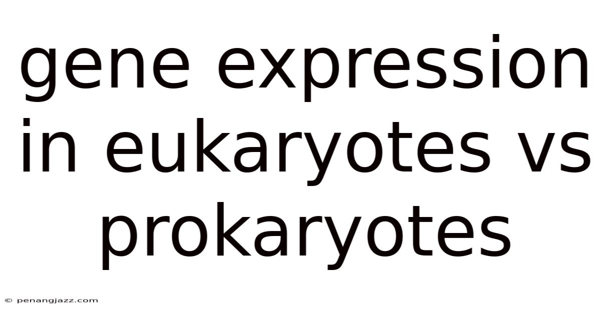 Gene Expression In Eukaryotes Vs Prokaryotes