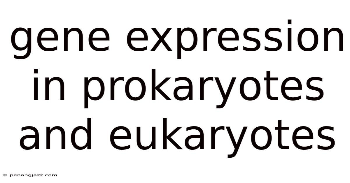 Gene Expression In Prokaryotes And Eukaryotes
