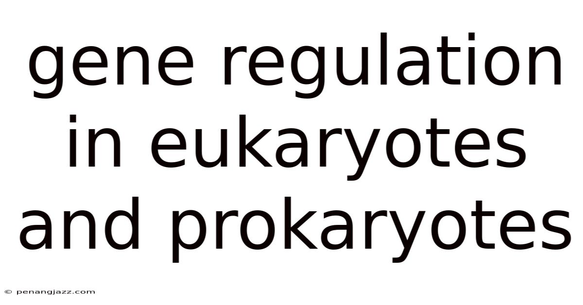 Gene Regulation In Eukaryotes And Prokaryotes