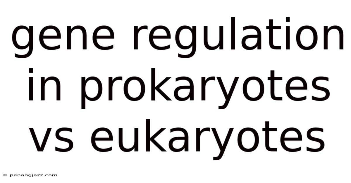 Gene Regulation In Prokaryotes Vs Eukaryotes