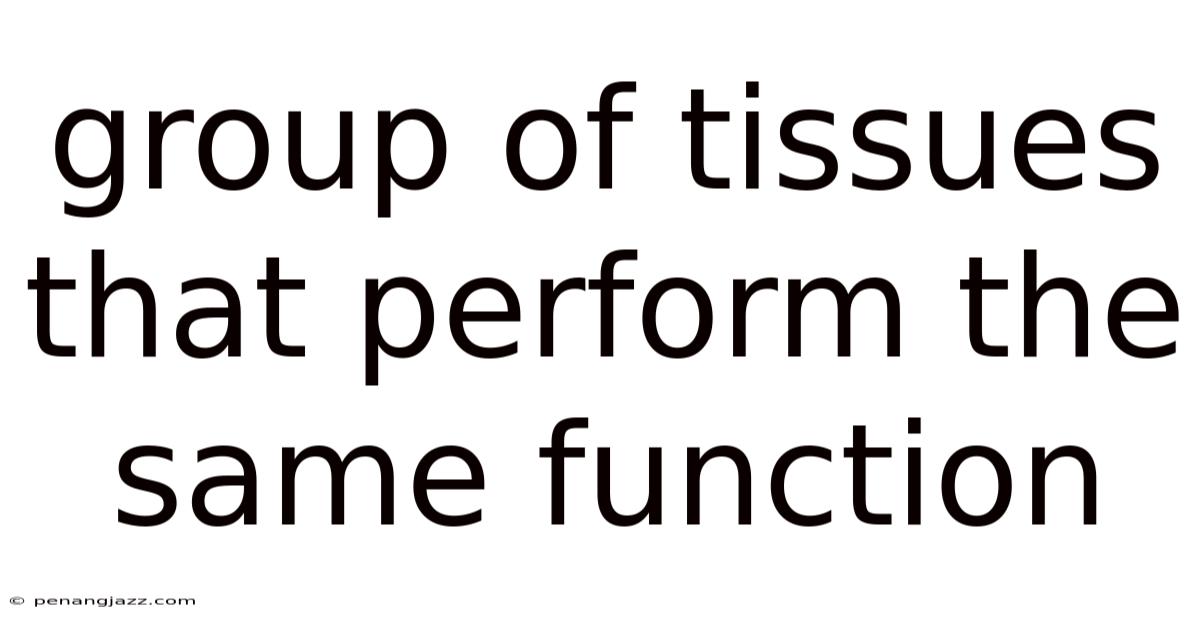 Group Of Tissues That Perform The Same Function