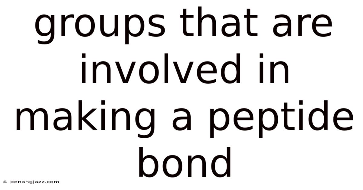 Groups That Are Involved In Making A Peptide Bond