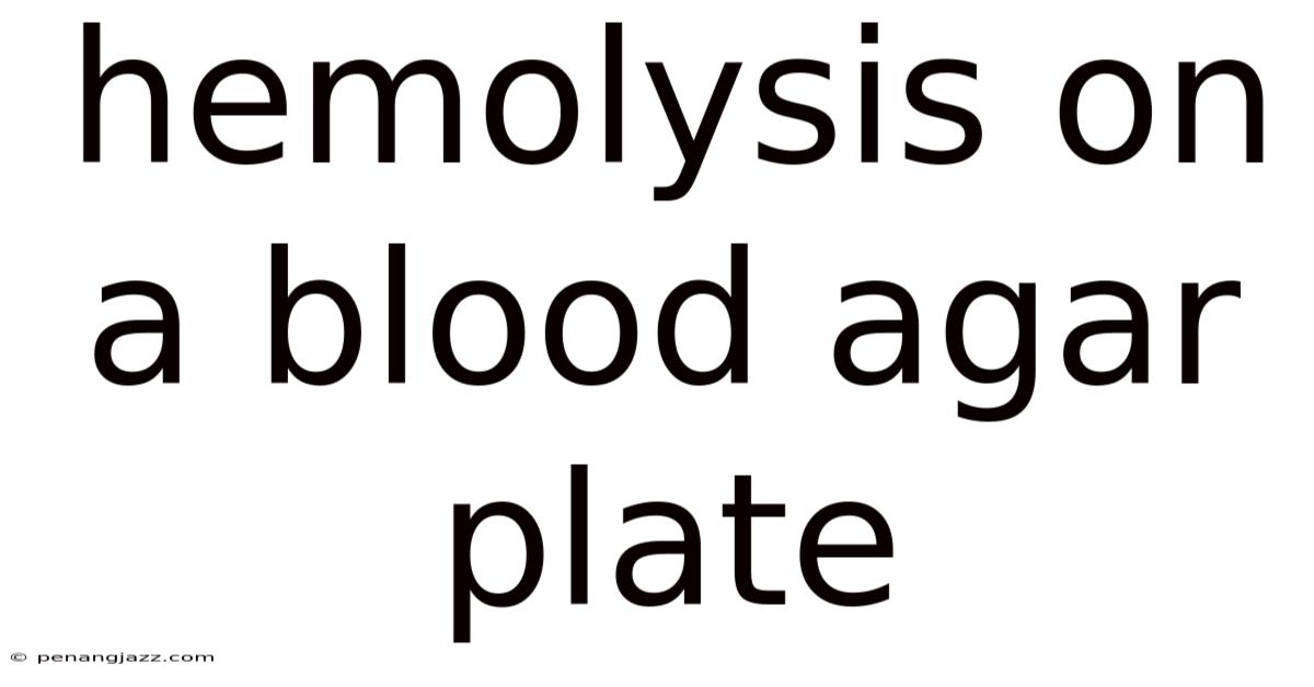 Hemolysis On A Blood Agar Plate