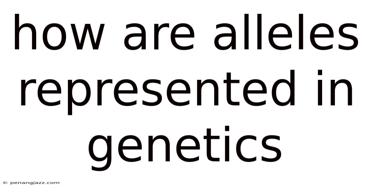 How Are Alleles Represented In Genetics