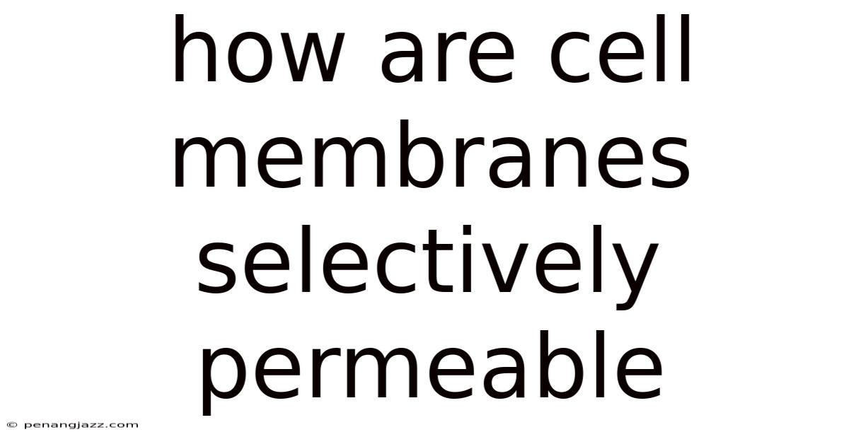 How Are Cell Membranes Selectively Permeable
