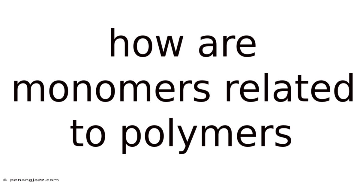 How Are Monomers Related To Polymers