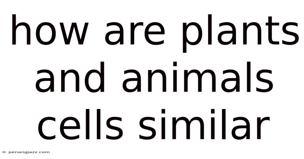 How Are Plants And Animals Cells Similar