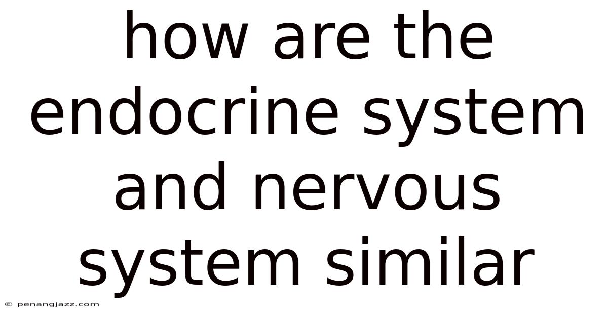 How Are The Endocrine System And Nervous System Similar