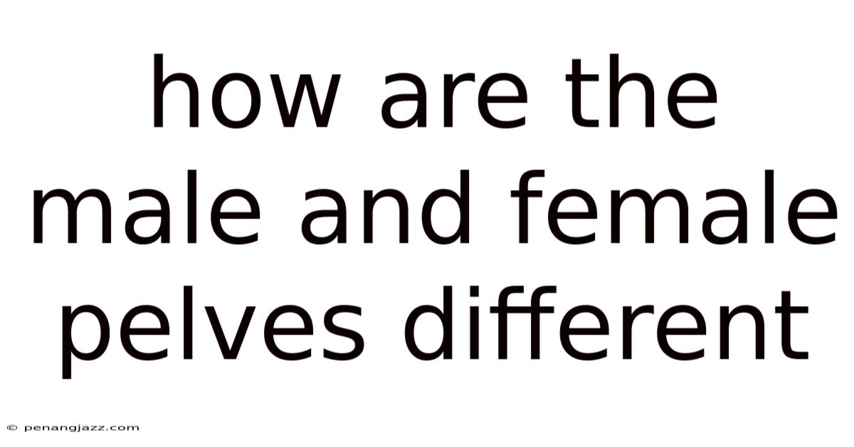 How Are The Male And Female Pelves Different